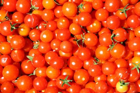 Моцарелла усилила мягкость закуски с черри — специалисты кухни