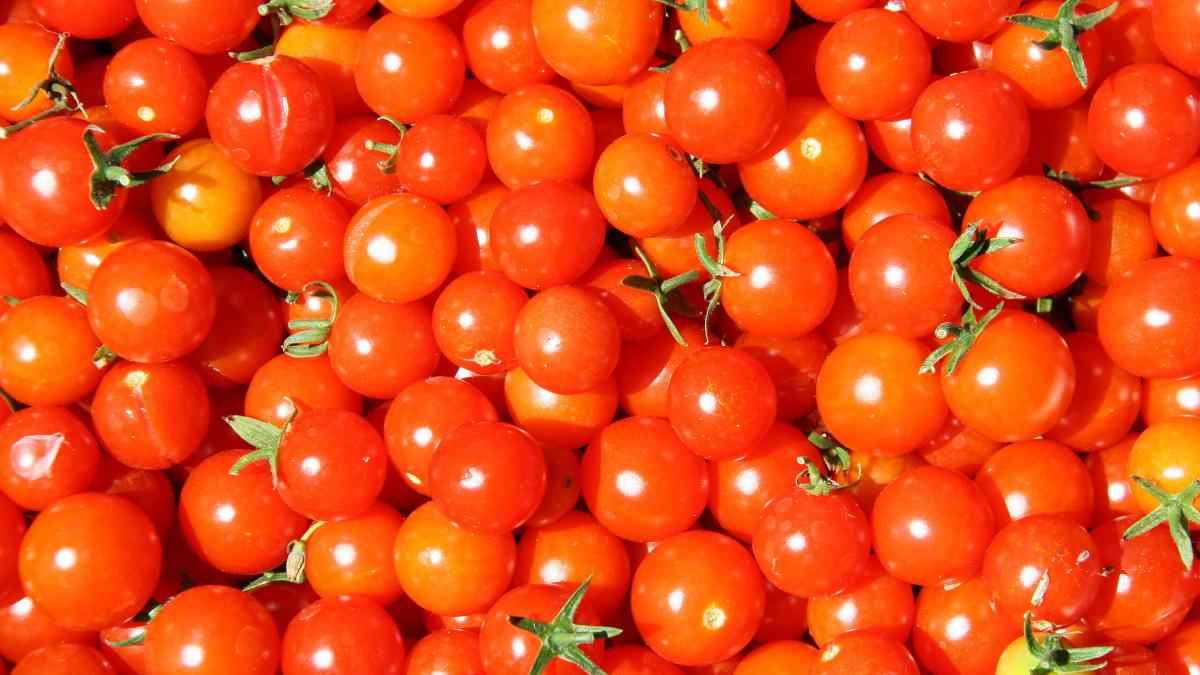 Томаты черри