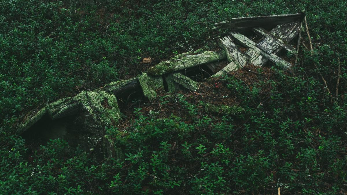 гробница  на кладбище