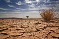 Потепление воды и недостаток кислорода вызвали массовое вымирание Потепление воды и недостаток кислорода вызвали массовое вымирание