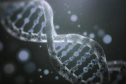 В США создали стартап по генетическому улучшению эмбрионов