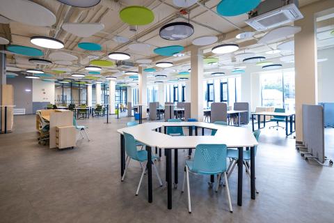 Школа, где хочется остаться: как красота делает знания живыми