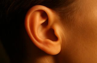 Красота, о которой забывают: почему именно уши придают лицу гармонию