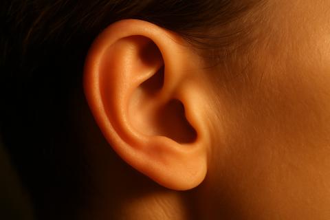 Красота, о которой забывают: почему именно уши придают лицу гармонию