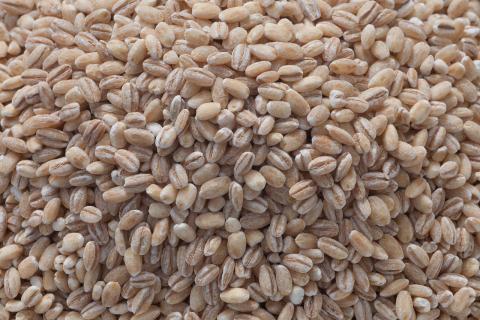 Ячменная крупа