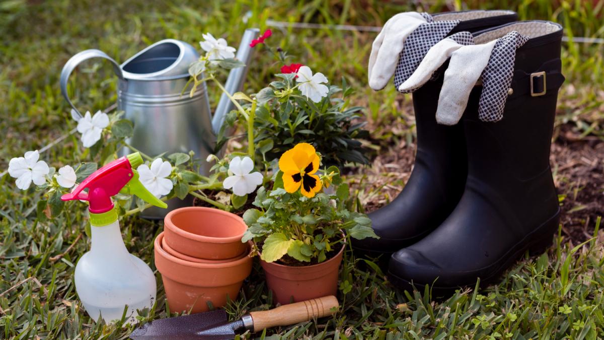 садоводство