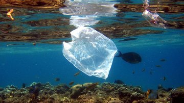 Рыба в океане стала гибнуть из-за пластика в три раза чаще