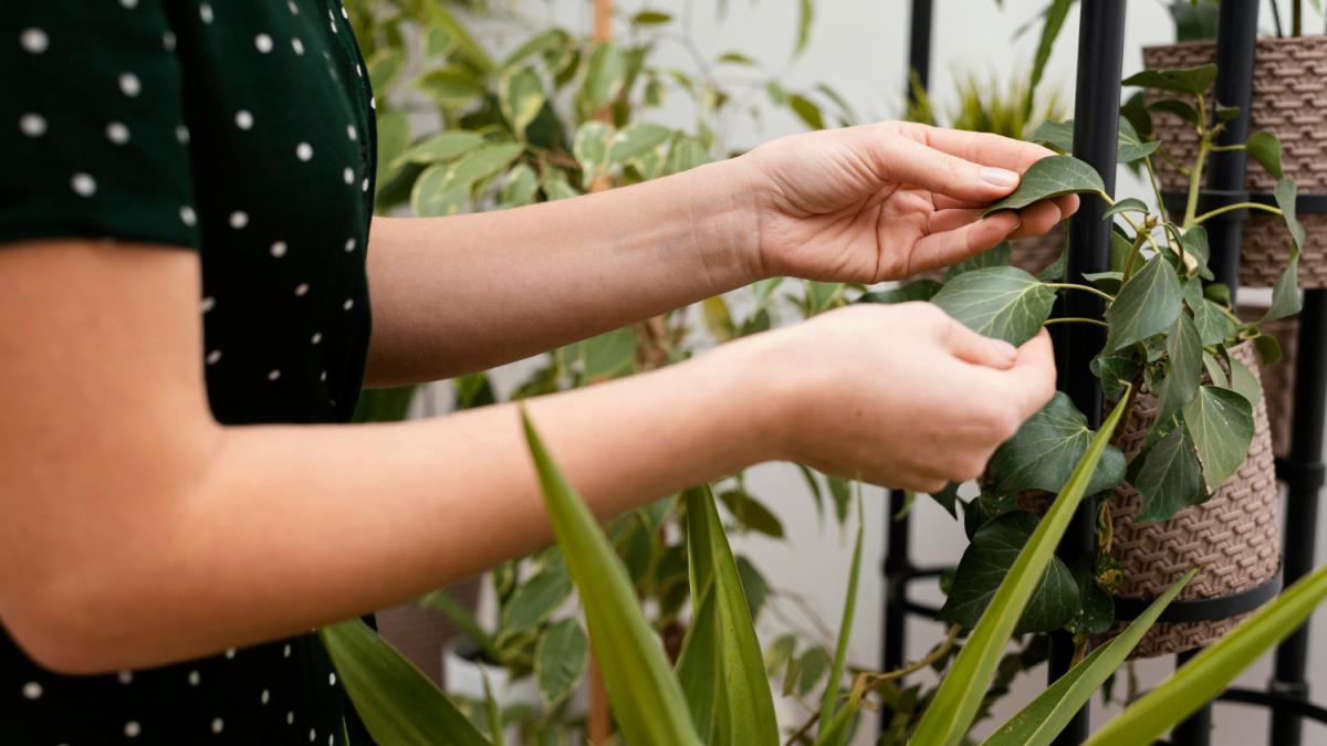 Проверка листьев