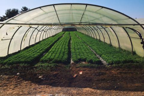 Севооборот увеличивает урожайность на 20 %— Китайский аграрный университет