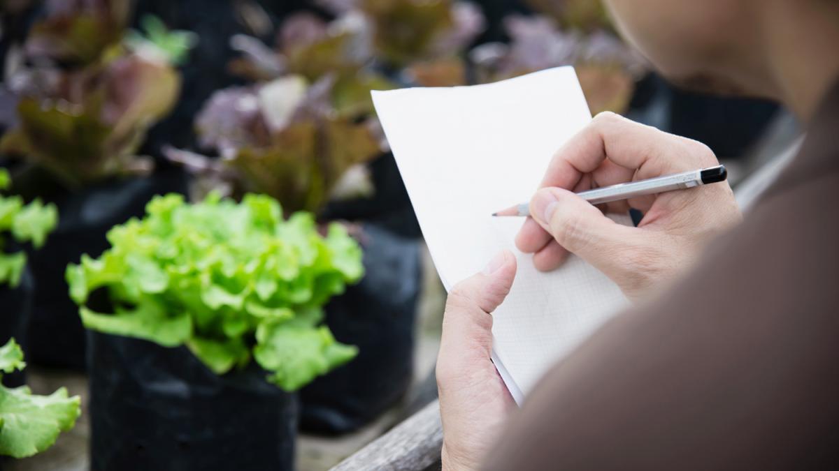 Садовод планирует огорода на следующий год