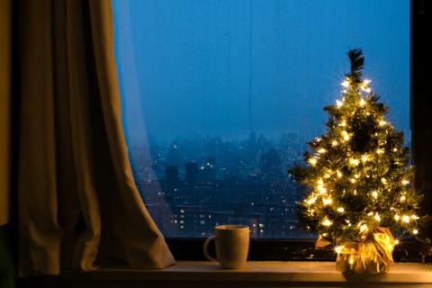 Ямальцам напомнили правила безопасного выбора новогодних украшений — Роспотребнадзор