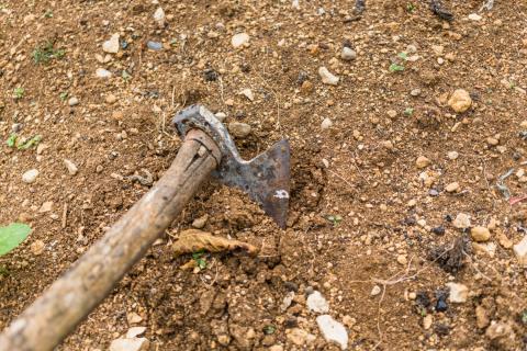 Состояние почвы определяет устойчивость сада к погоде — RHS Gardening