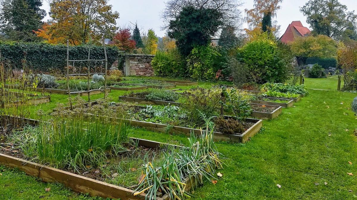 Дачный участок