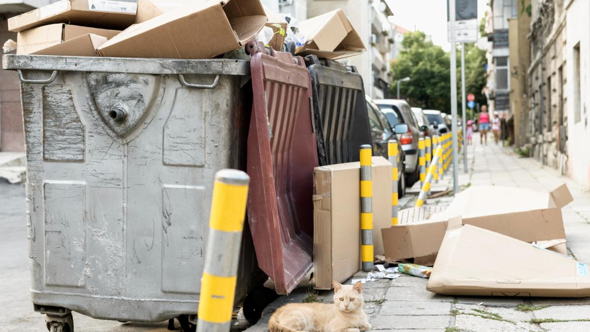 Россиянка в Германии удивилась строгим правилам обращения с мусором