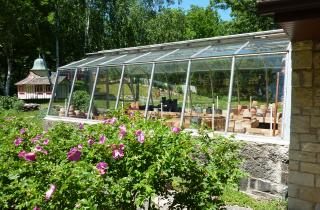 Сера остановила развитие фитофторы — агрономы