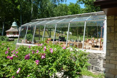 Сера остановила развитие фитофторы — агрономы