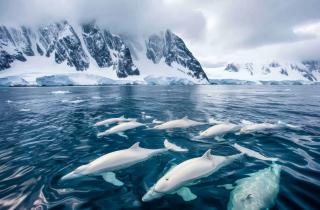 Где дороги рисует лёд, а ветер хранит секреты: Арктика зовёт на встречу с неизвестным