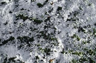 Эксперт по выживанию Сергей Баленко: поедание снега не спасает от обезвоживания