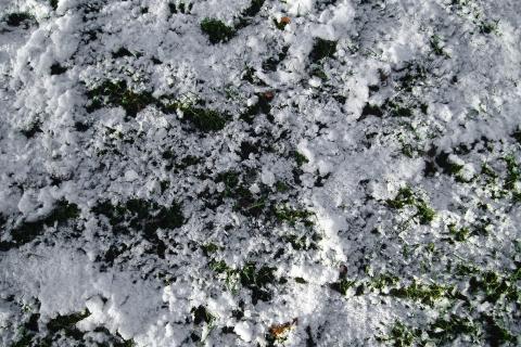 Эксперт по выживанию Сергей Баленко: поедание снега не спасает от обезвоживания