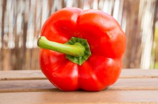 Сладкий перец быстрее развивается при температуре 23–25 градусов — агрономы