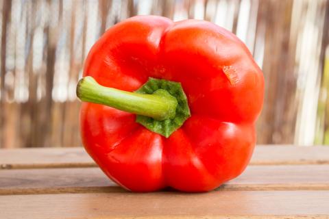 Сладкий перец быстрее развивается при температуре 23–25 градусов — агрономы