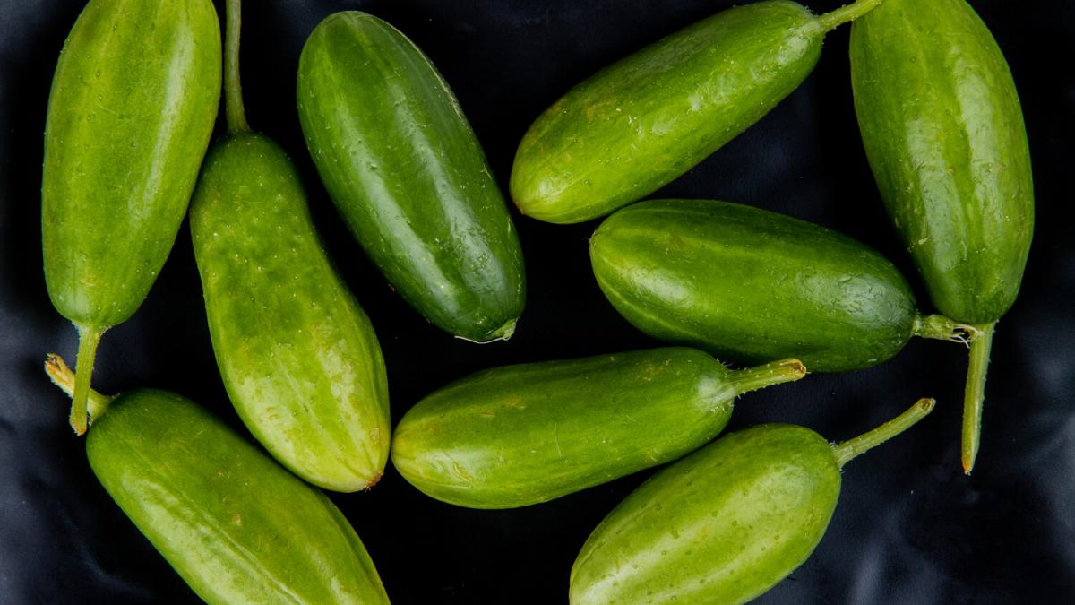 Мышиные огурцы