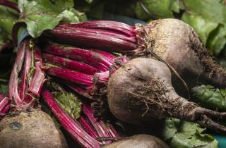 Шпинат снизил содержание магния в почве и ухудшил урожай свеклы — Белновости