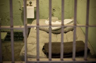 Штраф до 300 000 рублей за незаконный посев мака — юристы