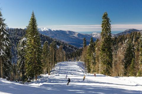 Сочи собрал 40% ранних бронирований на Новый год — турсервисы