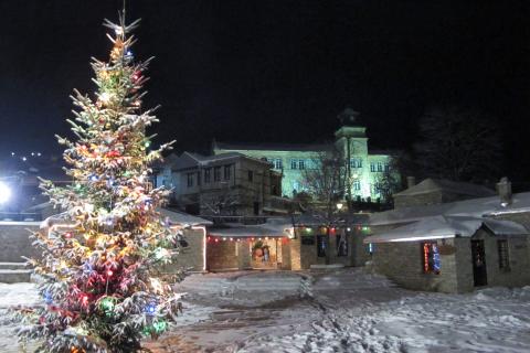 Праздничные ёлки появились в XVI веке — историки