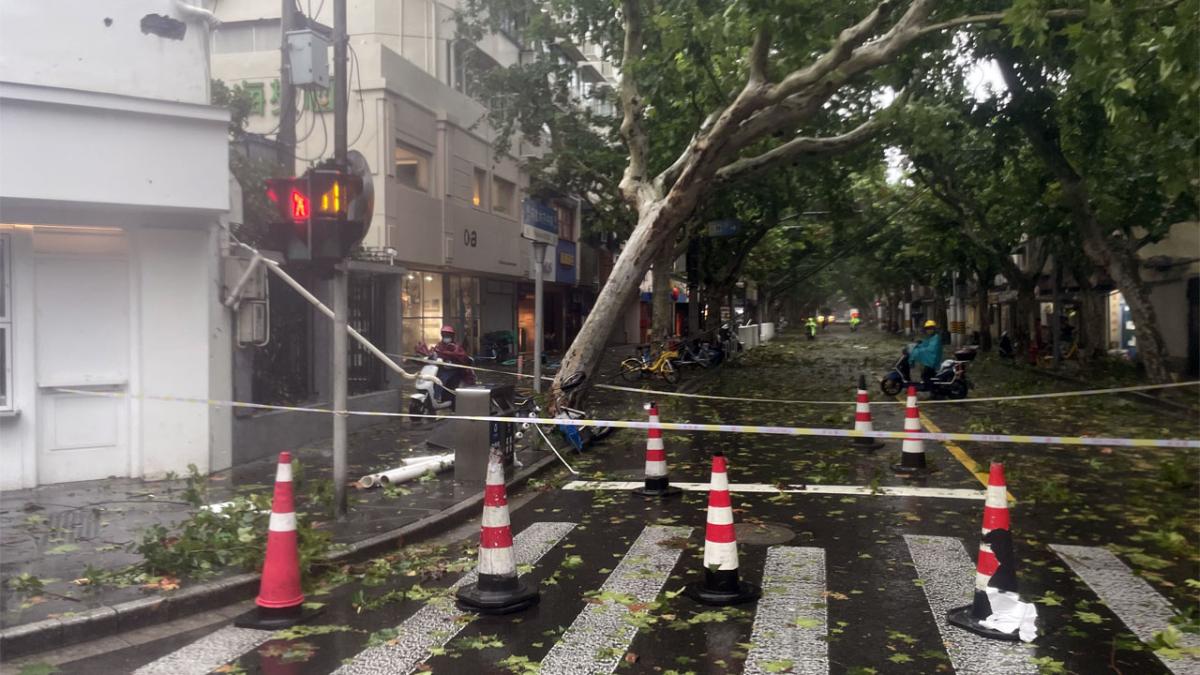 Последствия непогоды