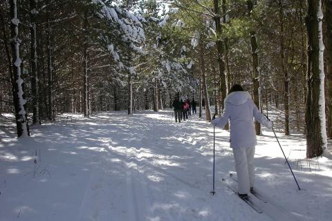 Лыжный спорт во многом лучше занятий в спортзале — олимпийский чемпион Девятьяров