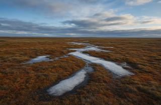Губернатор назвал изменения мерзлоты угрозой мирового масштаба — Ямал.Официально