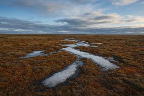 Губернатор назвал изменения мерзлоты угрозой мирового масштаба — Ямал.Официально