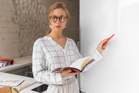 Новую систему оплаты труда педагогов внедрят в ЕАО правительство региона