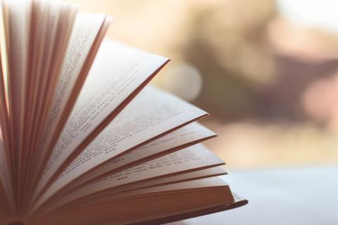 Библиотекари отмечают: шелест страниц усиливает эффект погружения в книгу