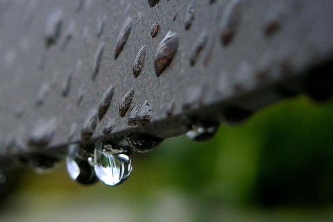 В 2025 году в Мурманской области зафиксировали аномальное количество осадков