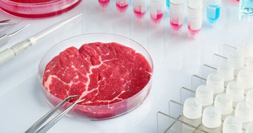 Российские специалисты создали недорогое искусственное мясо