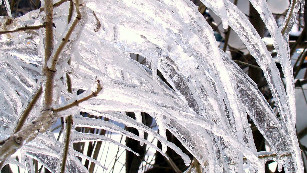 Гололёд при слабом ветре в марте. Западная Сибирь. - 3