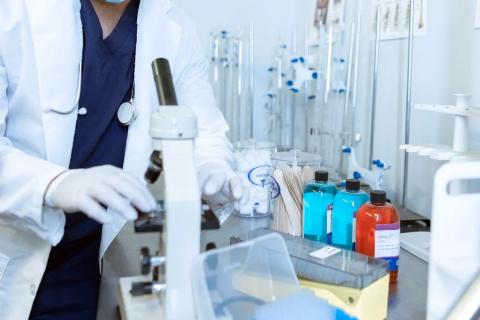 Учёные Центра Гельмгольца зафиксировали поведенческие сбои у рыб от смесей пестицидов