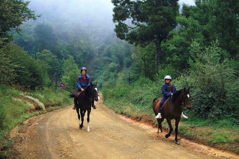 На конкурс грантов Ямала подано более 40 проектов — пресс-служба губернатора
