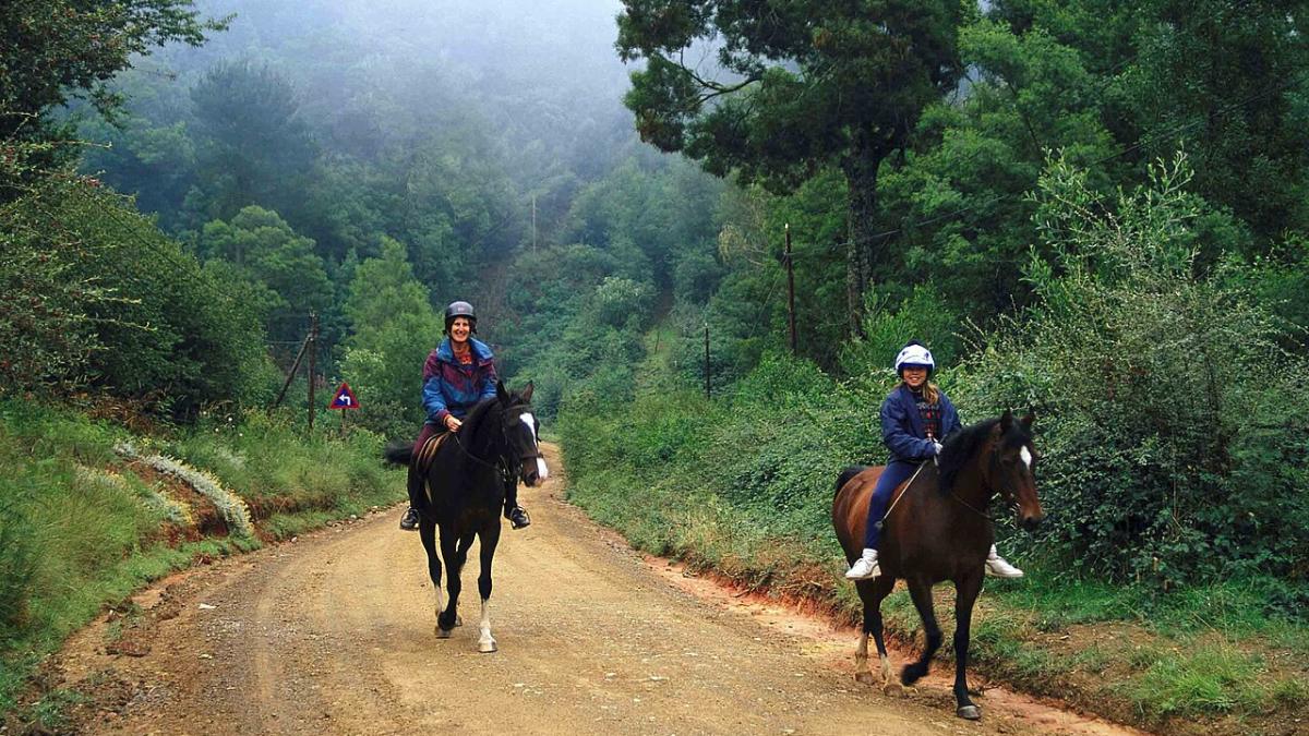 Конный туризм