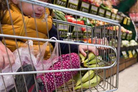 В Госдуме предложили заморозить цены на продукты