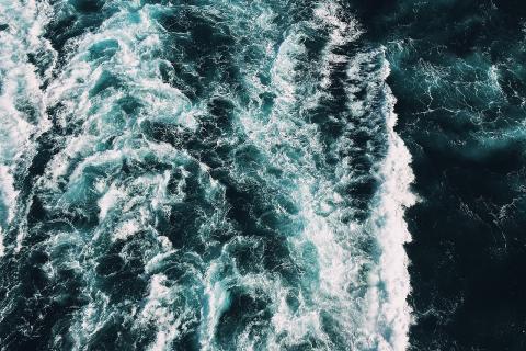 На Шпицбергене нашли 30 тысяч морских окаменелостей триаса — University of Oslo