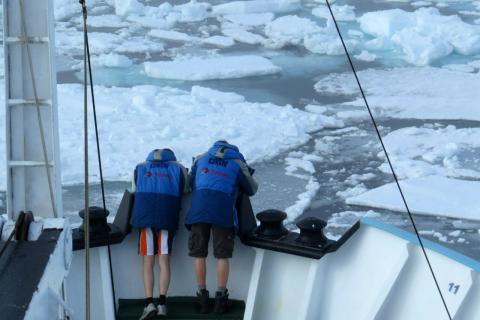 Учёные из России впервые обнаружили частицы автомобильных шин в морях Арктики
