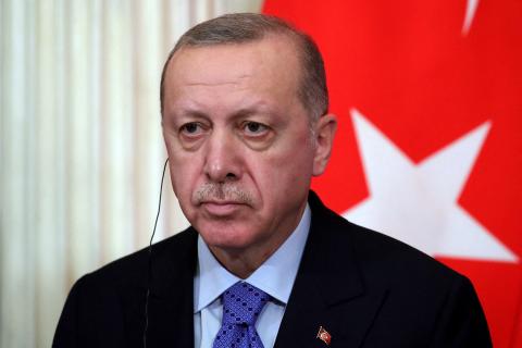 Эрдоган заявил о диверсификации источников энергии Турции — РИА Новости