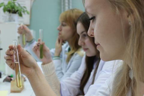 Китайские учёные создали катализатор для очистки воды только кислородом воздуха