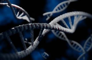 История жизни на Земле становится всё длиннее: последний предок оказался не последним