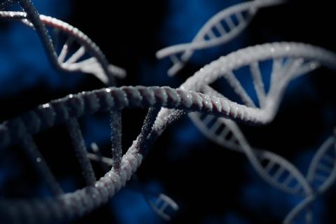 История жизни на Земле становится всё длиннее: последний предок оказался не последним