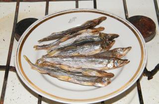 На Камчатке открылся сезон подлёдной рыбалки на корюшку